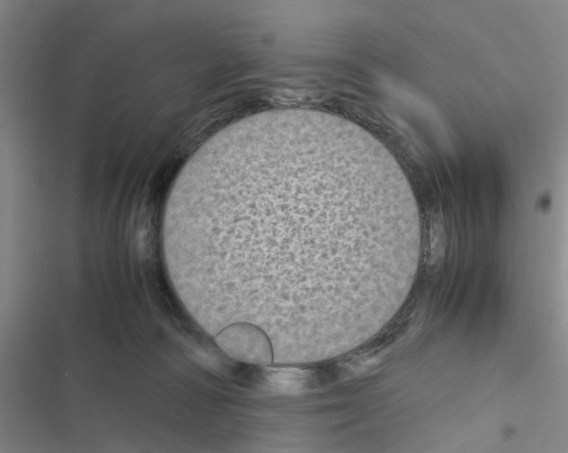 X0000116560226201001211229
