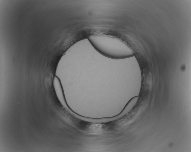X0000116560227201001211229