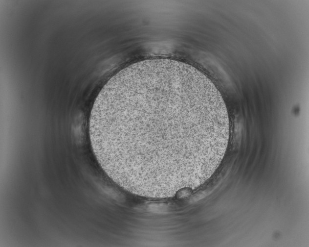 X0000116560228201001211229