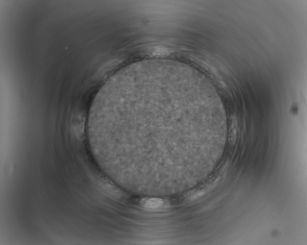X0000116560230201001211229