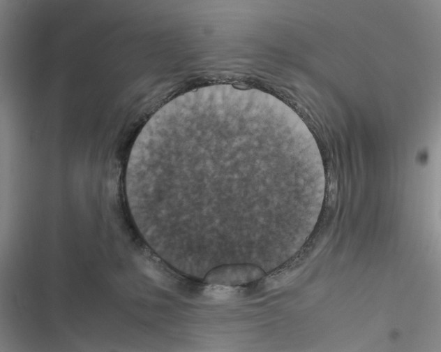 X0000116560231201001211229