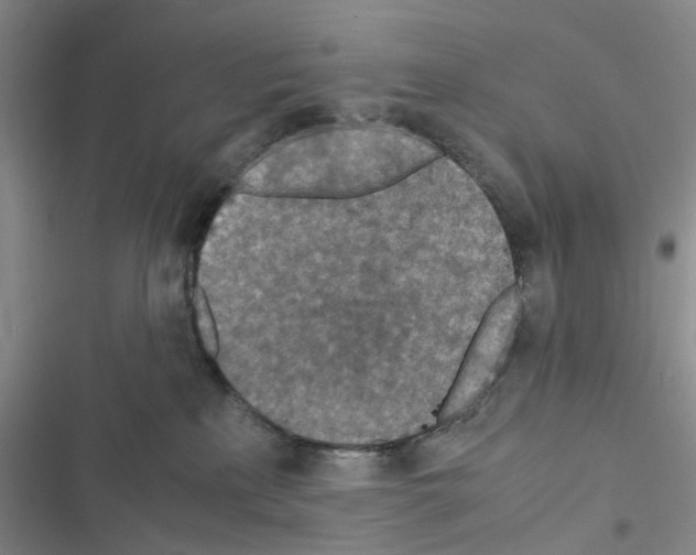 X0000116560233201001211229