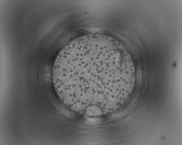X0000116560234201001211229