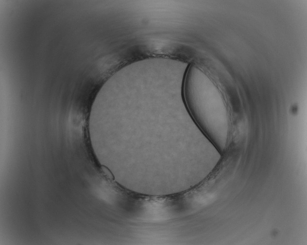 X0000116560235201001211229