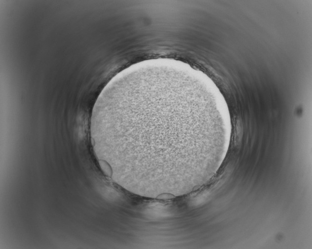 X0000116560236201001211229
