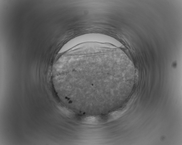 X0000116560237201001211229