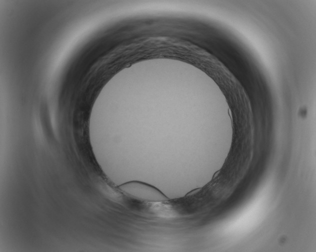 X0000116560239201001211229