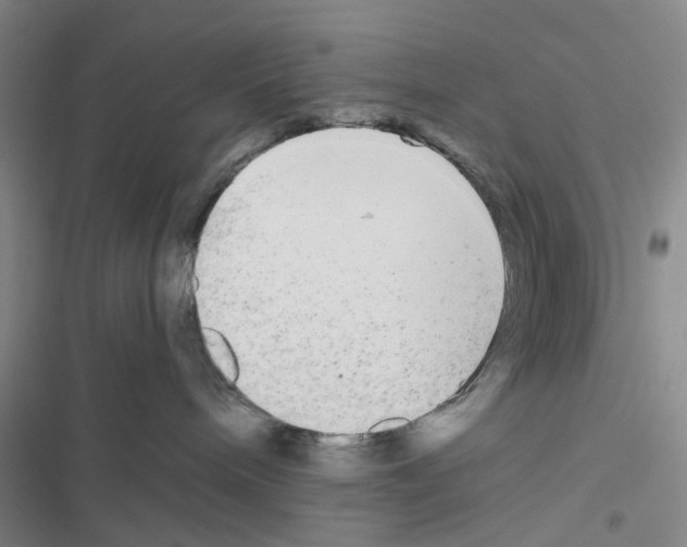 X0000116560240201001211229