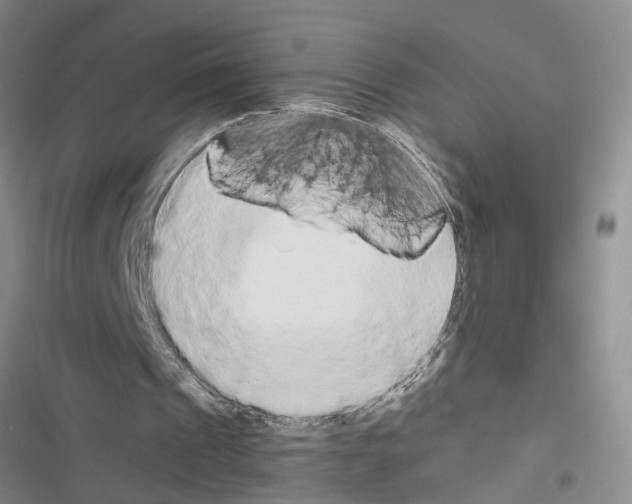 X0000116560241201001211228