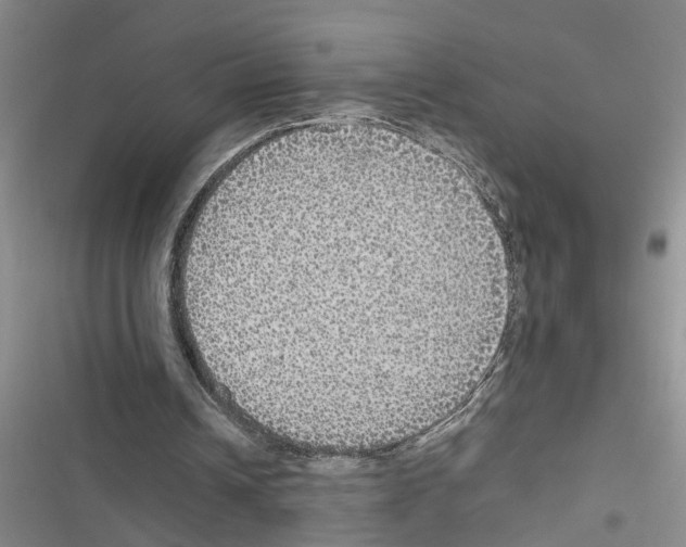 X0000116560242201001211228