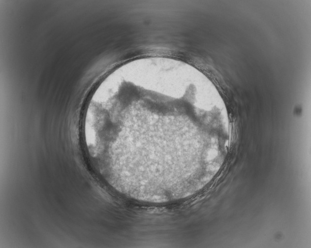 X0000116560243201001211228