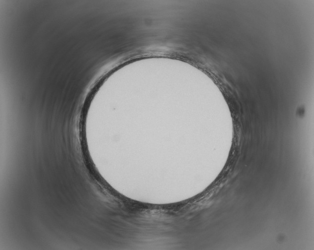 X0000116560244201001211228