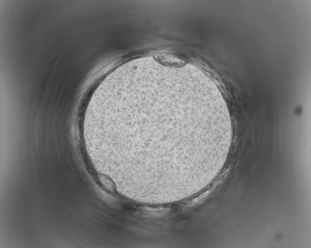 X0000116560245201001211228
