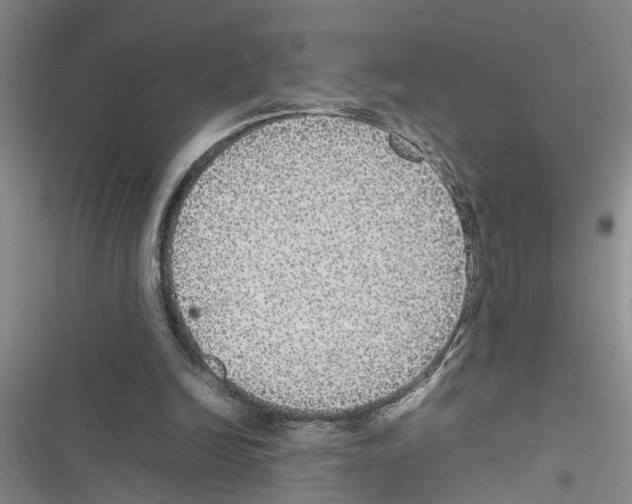 X0000116560246201001211228