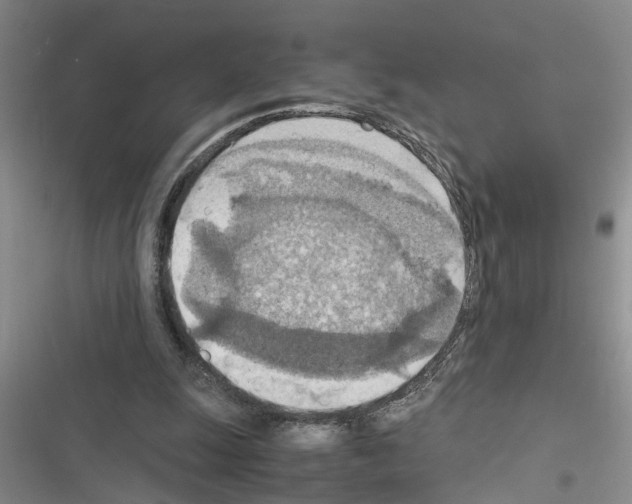X0000116560247201001211228