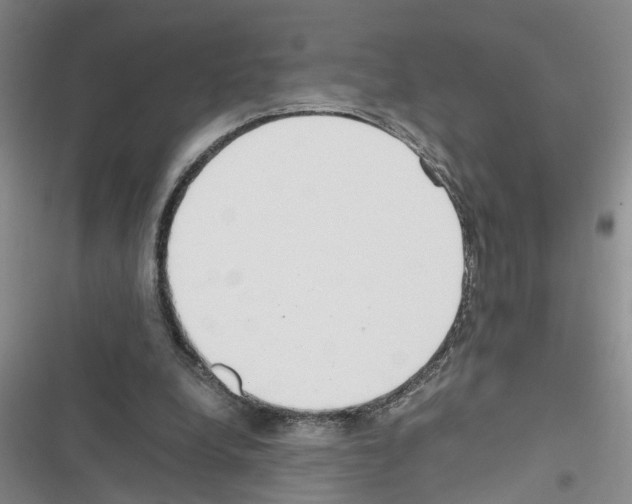 X0000116560248201001211228