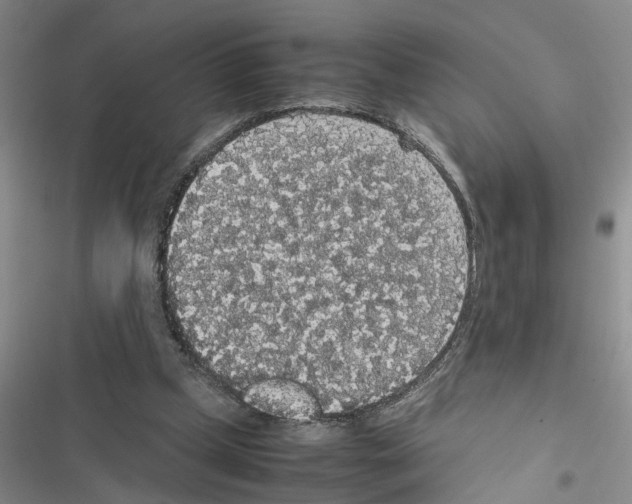 X0000116560249201001211228