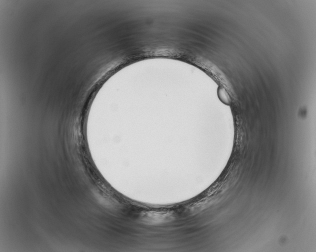X0000116560251201001211229