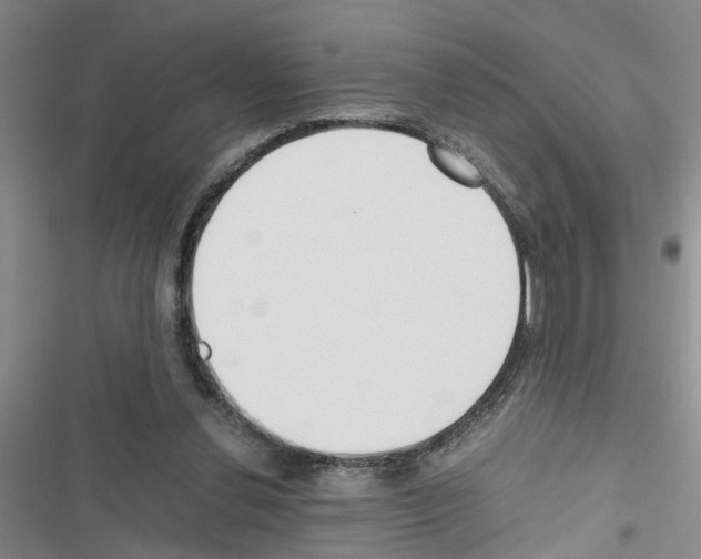 X0000116560252201001211229