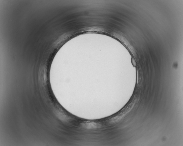X0000116560253201001211229