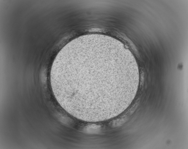 X0000116560257201001211229