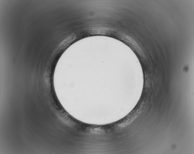 X0000116560258201001211229