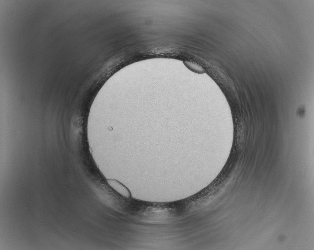 X0000116560260201001211229