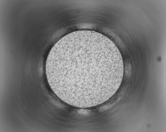 X0000116560261201001211229