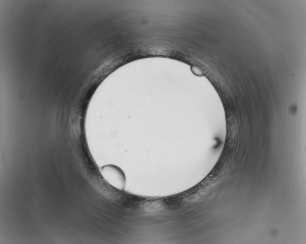 X0000116560262201001211229