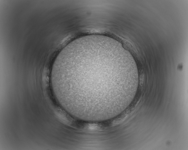 X0000116560264201001211229