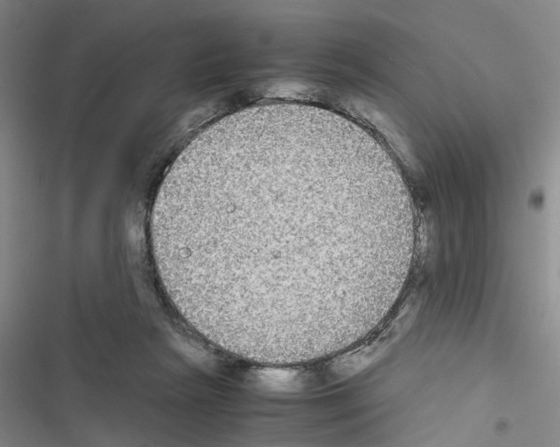 X0000116560265201001211229