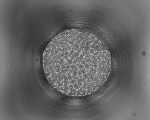 X0000116560267201001211229