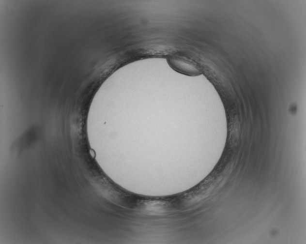 X0000116560268201001211229