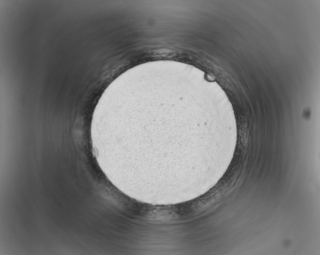 X0000116560270201001211229