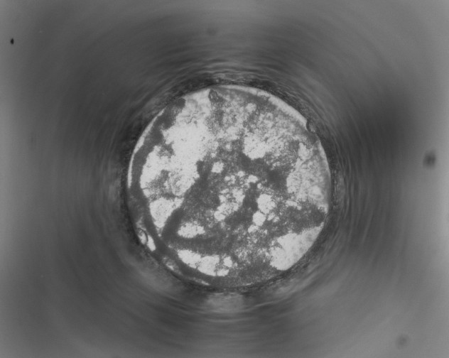 X0000116560271201001211229