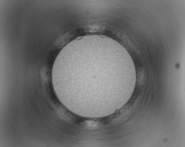 X0000116560272201001211229