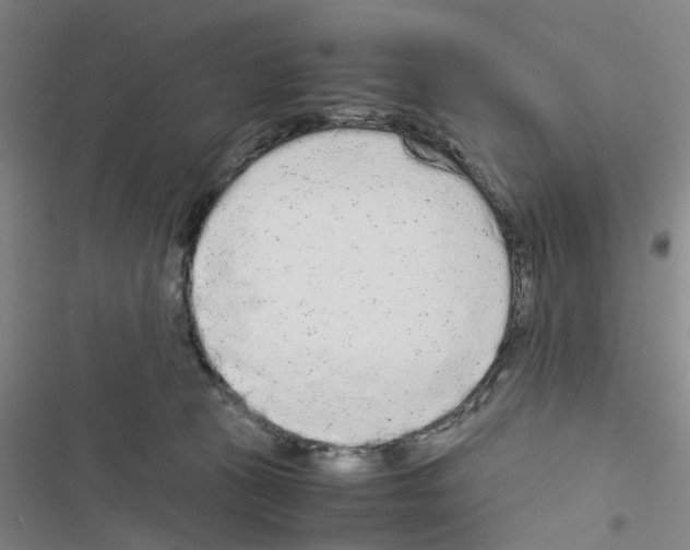 X0000116560273201001211229