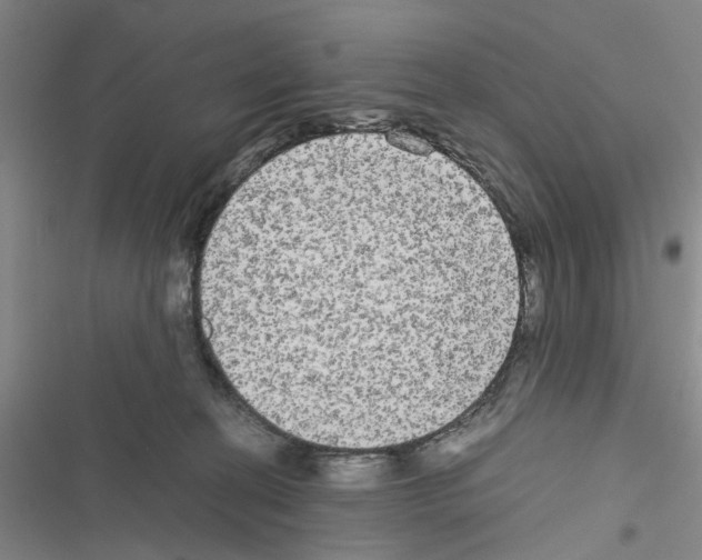 X0000116560274201001211229