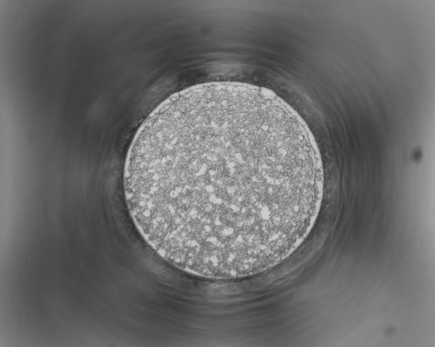 X0000116560277201001211229