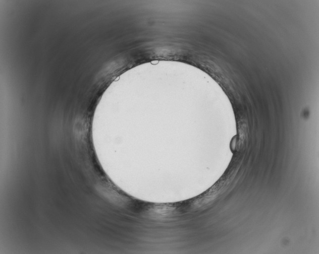 X0000116560278201001211229