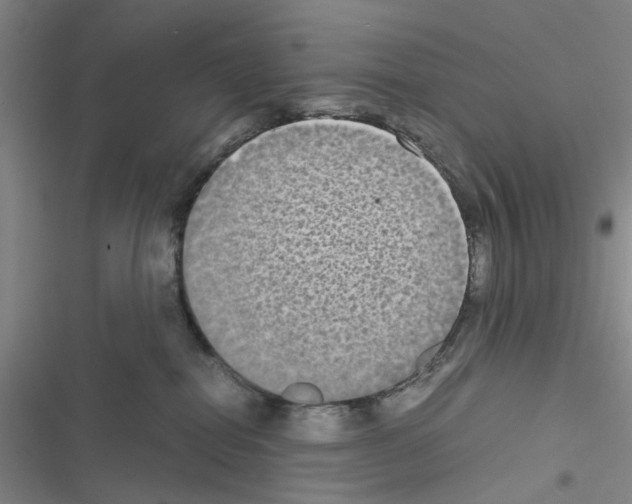 X0000116560282201001211229