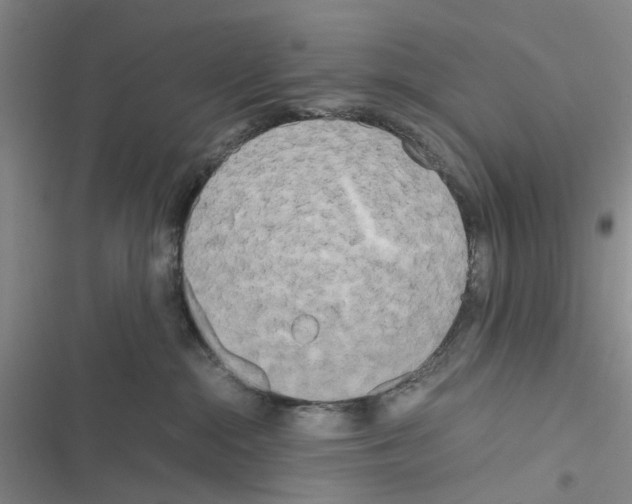 X0000116560284201001211229