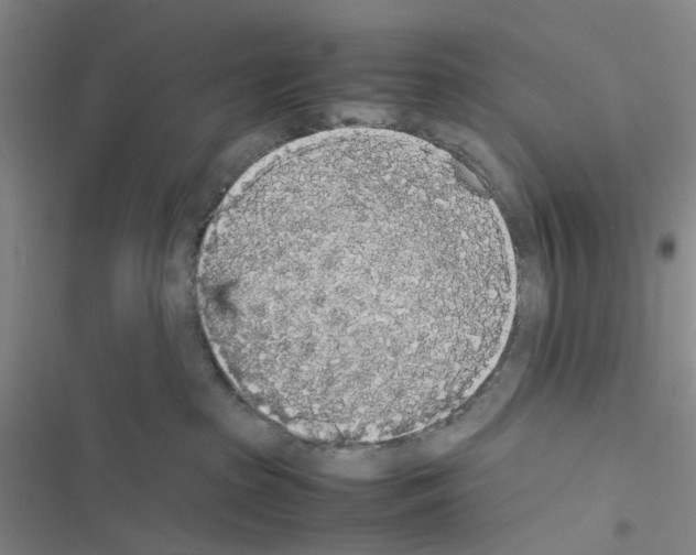 X0000116560285201001211229