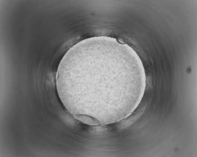 X0000116560286201001211229