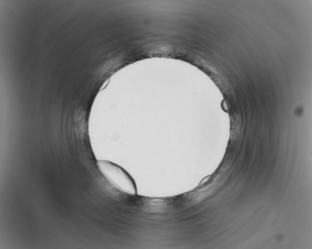 X0000116560287201001211229
