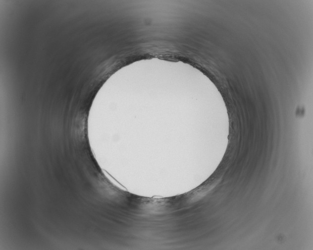 X0000116560288201001211229