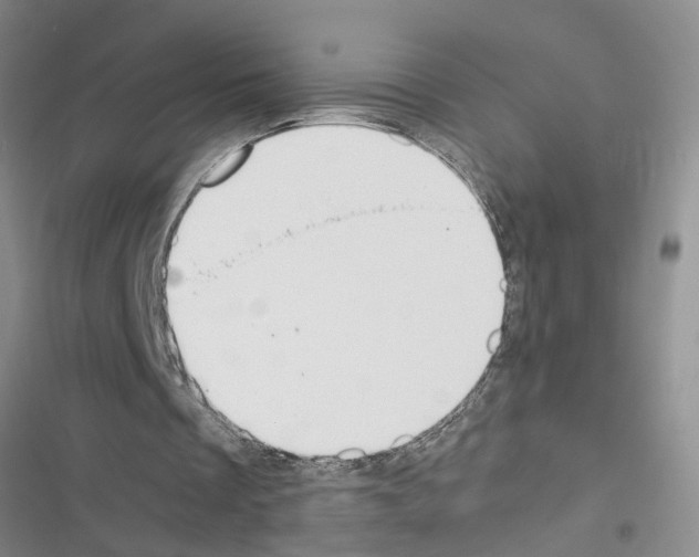 X0000116560289201001211228