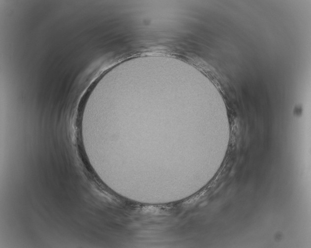 X0000116560290201001211228