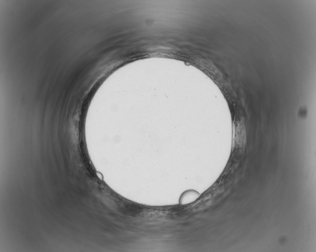 X0000116560291201001211228