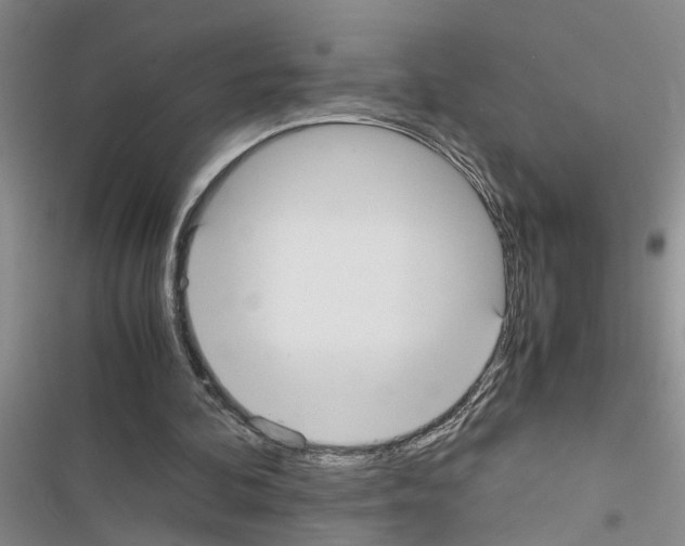 X0000116560292201001211228